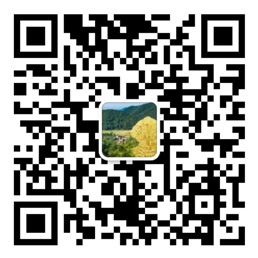 乐发lv
